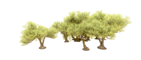 vert forêt isolé sur Contexte. 3d le rendu - illustration png