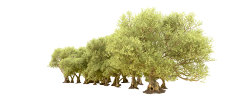 Green forest isolated on background. 3d rendering - illustration png