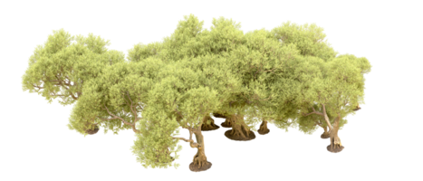 Grün Wald isoliert auf Hintergrund. 3d Rendern - - Illustration png