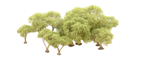 verde foresta isolato su sfondo. 3d interpretazione - illustrazione png