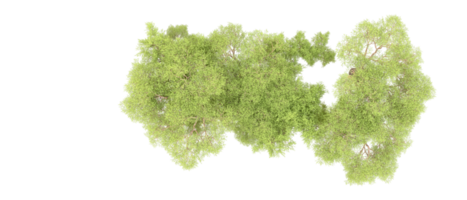 Grün Wald isoliert auf Hintergrund. 3d Rendern - - Illustration png