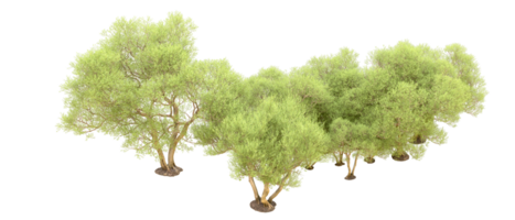 Green forest isolated on background. 3d rendering - illustration png