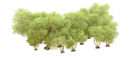 Green forest isolated on background. 3d rendering - illustration png