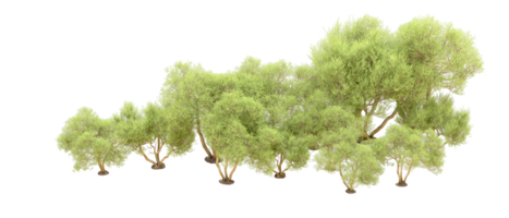 Green forest isolated on background. 3d rendering - illustration png