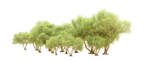 Green forest isolated on background. 3d rendering - illustration png