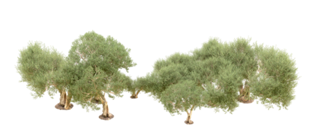 grön skog isolerat på bakgrund. 3d tolkning - illustration png