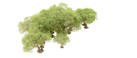 groen Woud geïsoleerd Aan achtergrond. 3d renderen - illustratie png