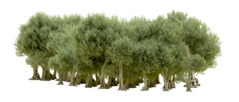 verde foresta isolato su sfondo. 3d interpretazione - illustrazione png