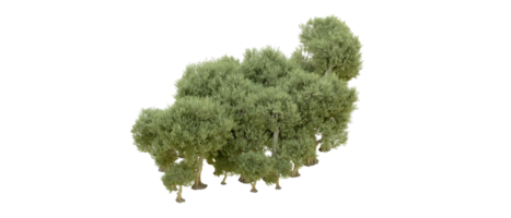 vert forêt isolé sur Contexte. 3d le rendu - illustration png