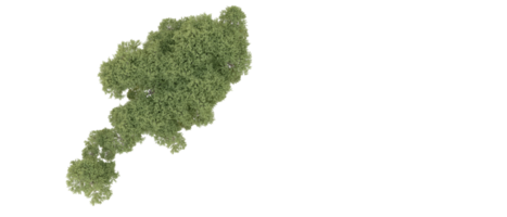 groen Woud geïsoleerd Aan achtergrond. 3d renderen - illustratie png