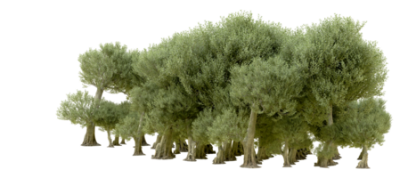 vert forêt isolé sur Contexte. 3d le rendu - illustration png