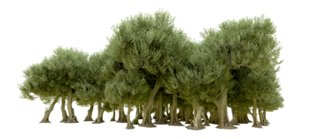 vert forêt isolé sur Contexte. 3d le rendu - illustration png