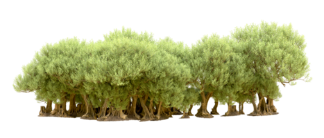 vert forêt isolé sur Contexte. 3d le rendu - illustration png