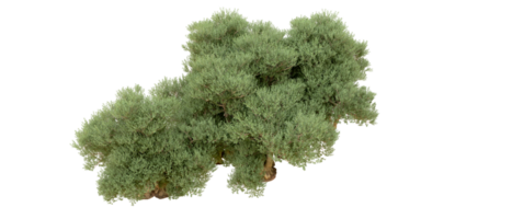 verde foresta isolato su sfondo. 3d interpretazione - illustrazione png