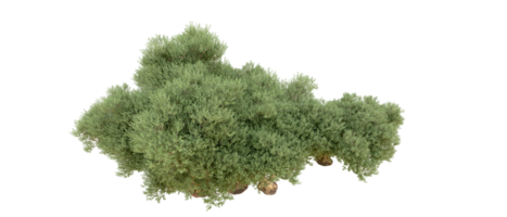 Green forest isolated on background. 3d rendering - illustration png