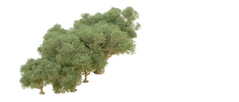 groen Woud geïsoleerd Aan achtergrond. 3d renderen - illustratie png