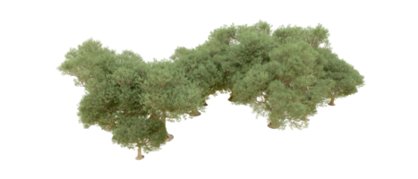 vert forêt isolé sur Contexte. 3d le rendu - illustration png