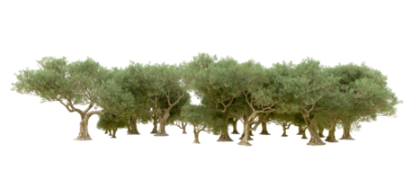 verde foresta isolato su sfondo. 3d interpretazione - illustrazione png