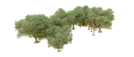 groen Woud geïsoleerd Aan achtergrond. 3d renderen - illustratie png