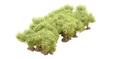 Green forest isolated on background. 3d rendering - illustration png