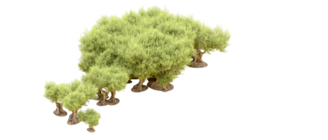 vert forêt isolé sur Contexte. 3d le rendu - illustration png