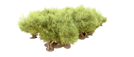 groen Woud geïsoleerd Aan achtergrond. 3d renderen - illustratie png