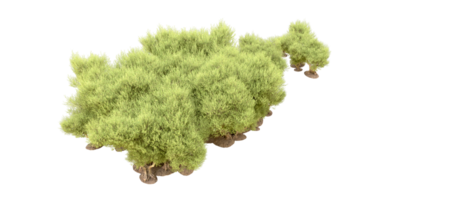 verde foresta isolato su sfondo. 3d interpretazione - illustrazione png