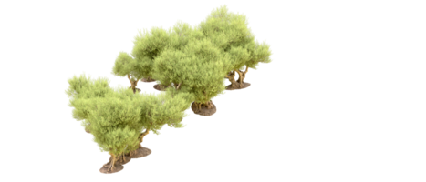 verde floresta isolado em fundo. 3d Renderização - ilustração png