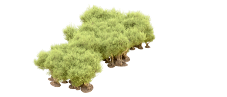 verde foresta isolato su sfondo. 3d interpretazione - illustrazione png