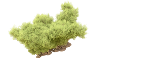 vert forêt isolé sur Contexte. 3d le rendu - illustration png