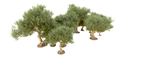 grön skog isolerat på bakgrund. 3d tolkning - illustration png