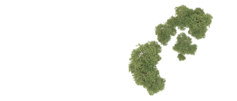 groen Woud geïsoleerd Aan achtergrond. 3d renderen - illustratie png