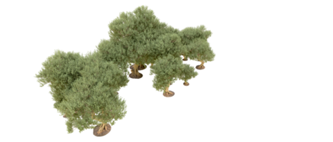 vert forêt isolé sur Contexte. 3d le rendu - illustration png