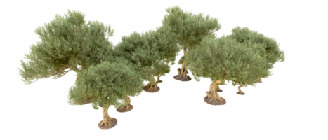 Grün Wald isoliert auf Hintergrund. 3d Rendern - - Illustration png