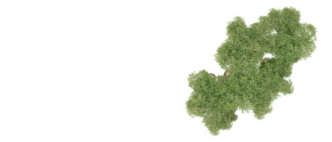 Grün Wald isoliert auf Hintergrund. 3d Rendern - - Illustration png