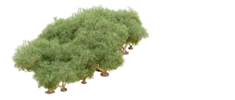 grön skog isolerat på bakgrund. 3d tolkning - illustration png