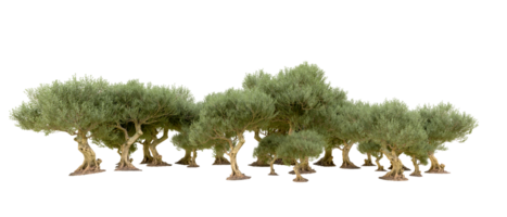 vert forêt isolé sur Contexte. 3d le rendu - illustration png