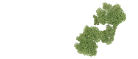 vert forêt isolé sur Contexte. 3d le rendu - illustration png