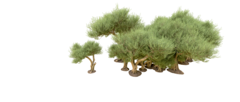 vert forêt isolé sur Contexte. 3d le rendu - illustration png