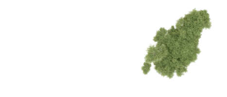 Grün Wald isoliert auf Hintergrund. 3d Rendern - - Illustration png