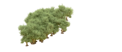 groen Woud geïsoleerd Aan achtergrond. 3d renderen - illustratie png