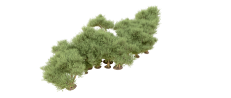 Grün Wald isoliert auf Hintergrund. 3d Rendern - - Illustration png