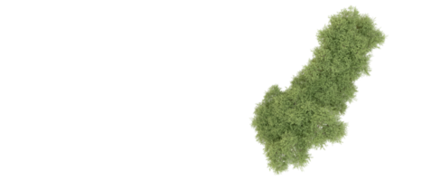 vert forêt isolé sur Contexte. 3d le rendu - illustration png