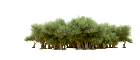 Green forest isolated on background. 3d rendering - illustration png