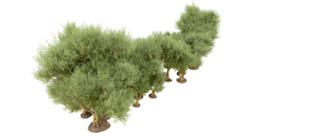 vert forêt isolé sur Contexte. 3d le rendu - illustration png