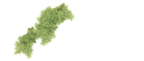 verde foresta isolato su sfondo. 3d interpretazione - illustrazione png