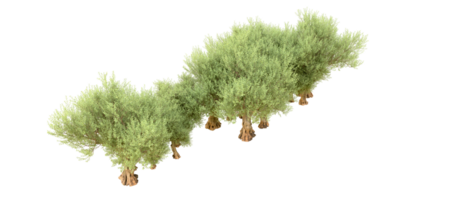 groen Woud geïsoleerd Aan achtergrond. 3d renderen - illustratie png