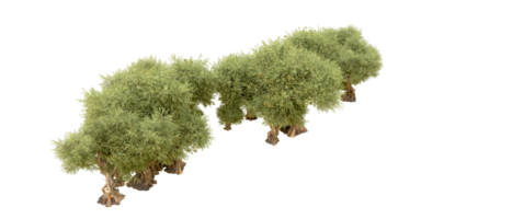 verde floresta isolado em fundo. 3d Renderização - ilustração png