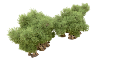 Green forest isolated on background. 3d rendering - illustration png