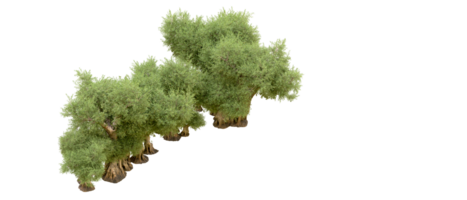 groen Woud geïsoleerd Aan achtergrond. 3d renderen - illustratie png